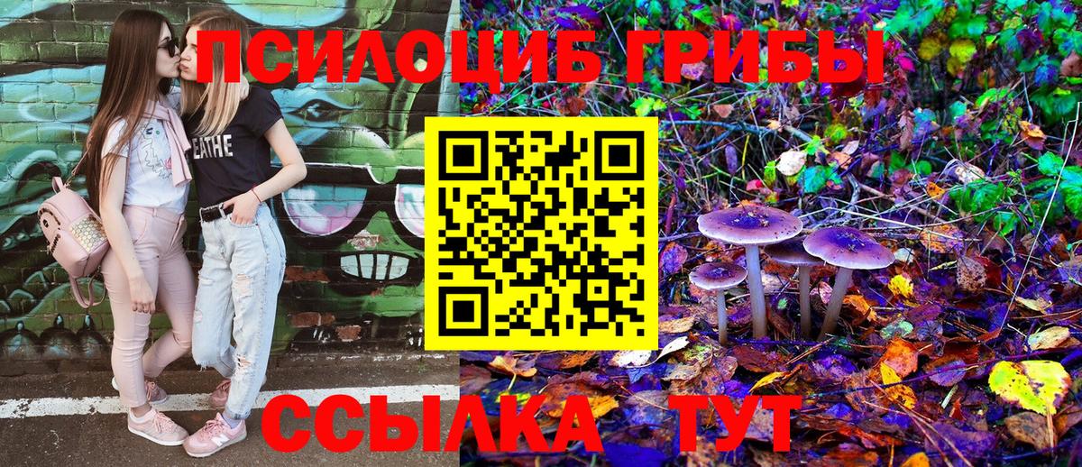 Мурино  Псилоцибиновые грибы Psilocybine cubensis  Вход с VPN 